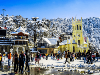 simla manali tour